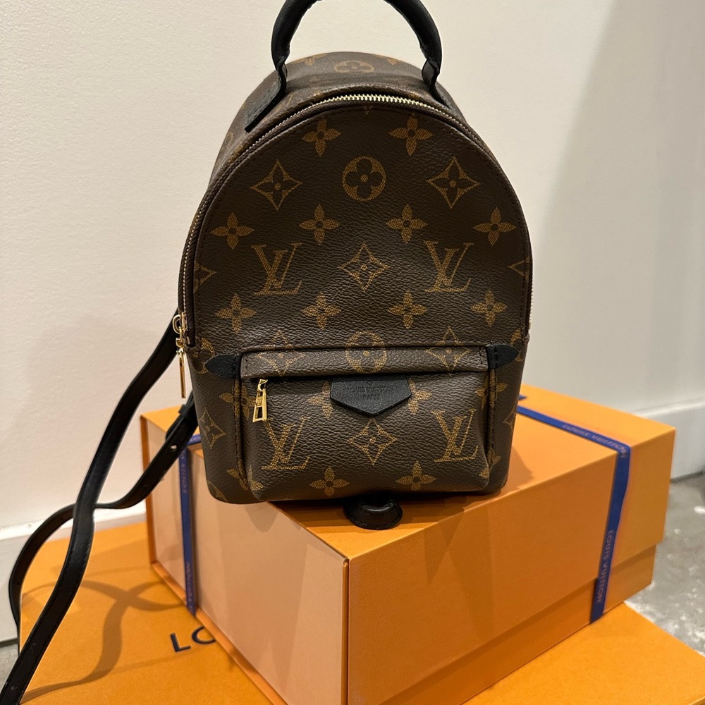 Louis Vuitton Palm Springs Mini Backpack